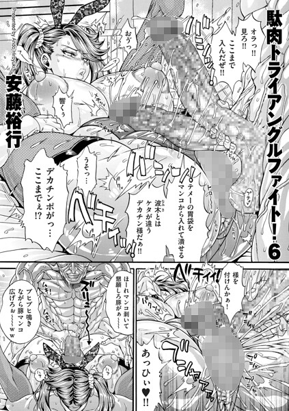 駄肉トライアングルファイト!6 安藤裕行
