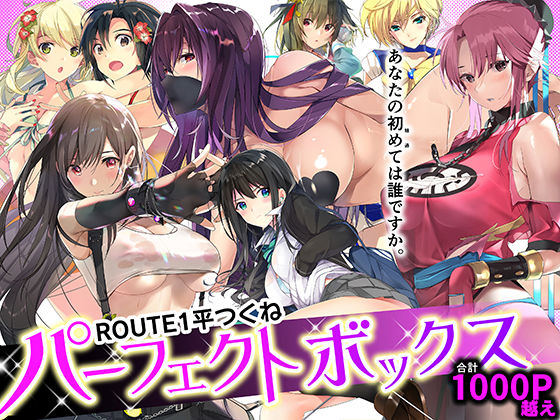 ROUTE1 平つくね パーフェクトボックス ROUTE1
