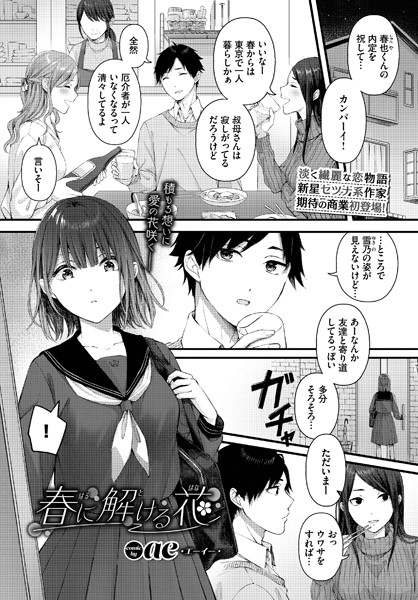 春に解ける花 ae コミックバベル編集部
